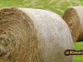 Rimata hay wrap net 4