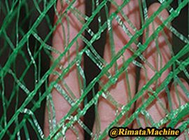 Rimata 参考双针床样品 27